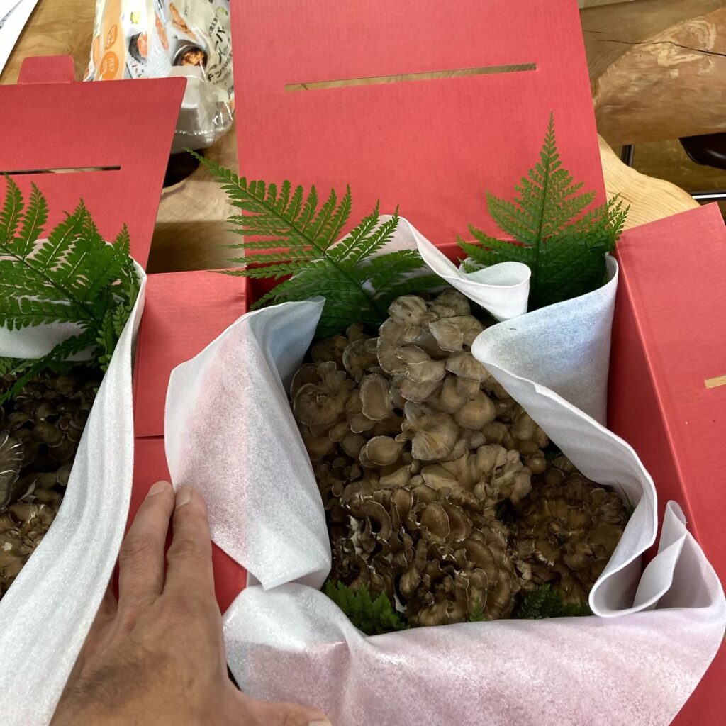 恐羅漢まいたけ化粧箱 梱包の様子