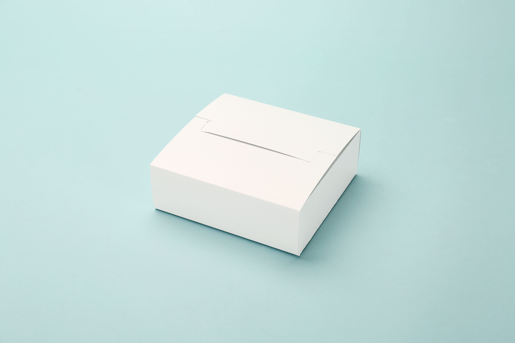 変形N式ケース2 中央開きタイプ